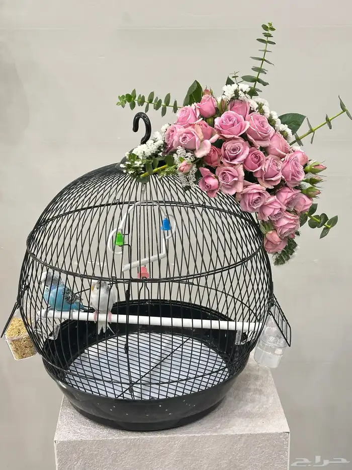 هدايا خميس مشيط 0