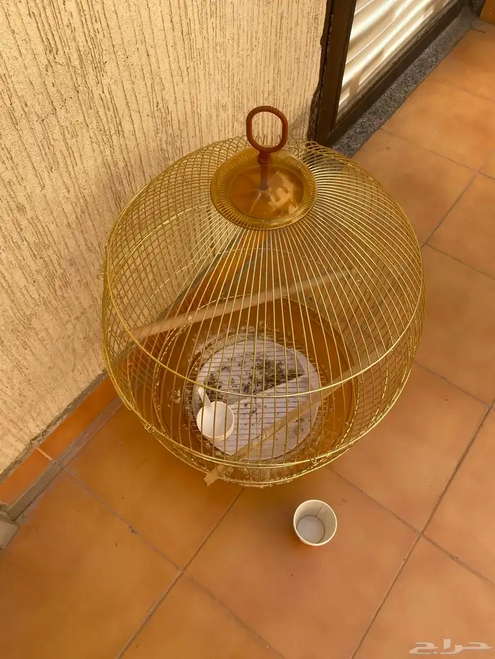 قفص طيور حجم متوسط 0