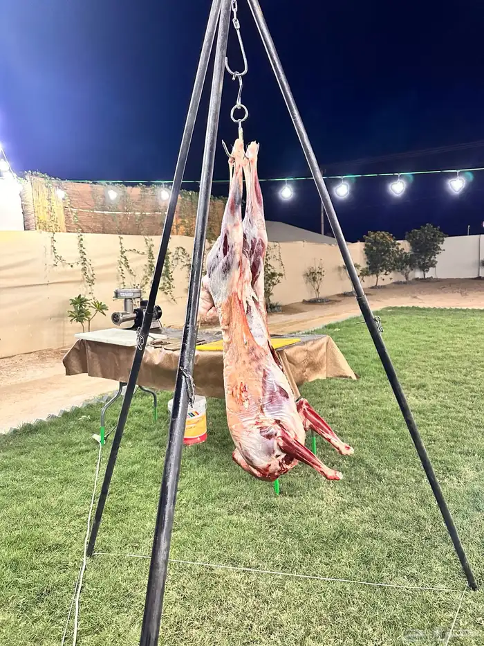 معلم شوي في الدوادمي 51