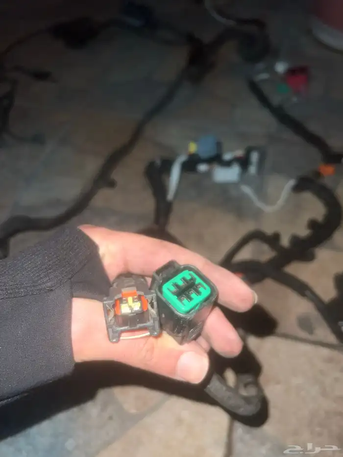 ضفيره ازيرا2018 4