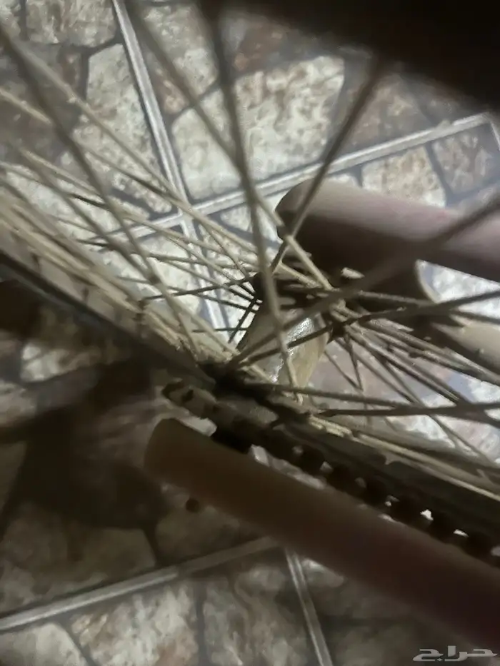 سيكل كوبرا 1