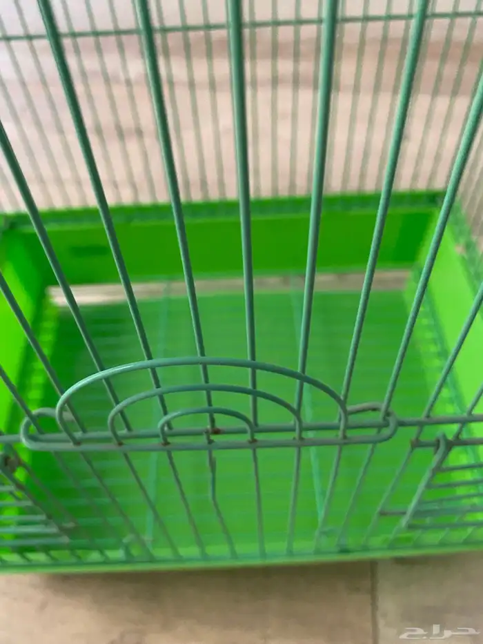 قفص عصافير 7