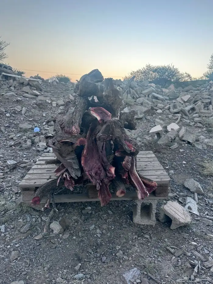 حطب قرض للبيع الموقع عاكفه 1