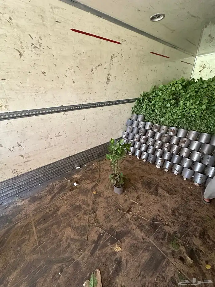 مشتل زراعي لبيع الاشجار بالجملة 4