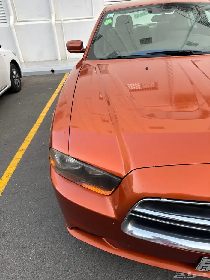 تشارجر 2011 6 سرندل 6