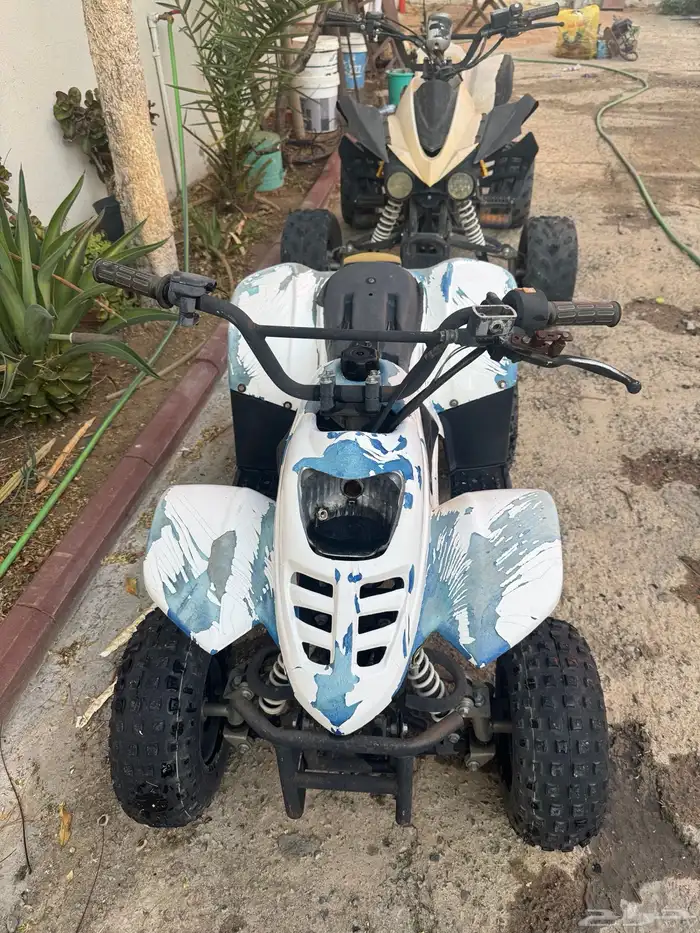 دباب صيني حجم 70 1