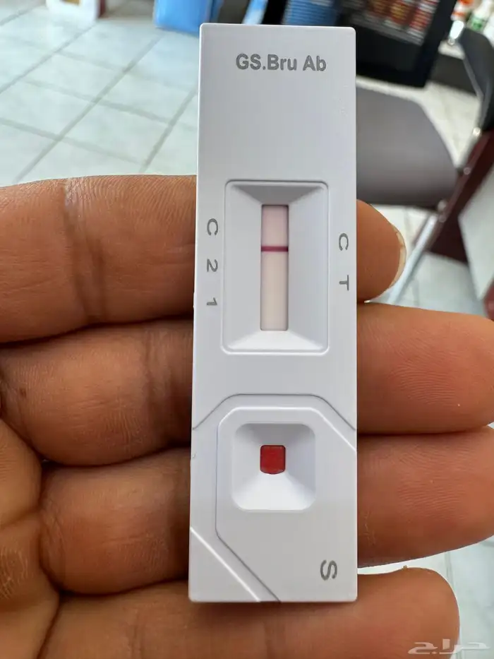 فحل مشروط صنف 2