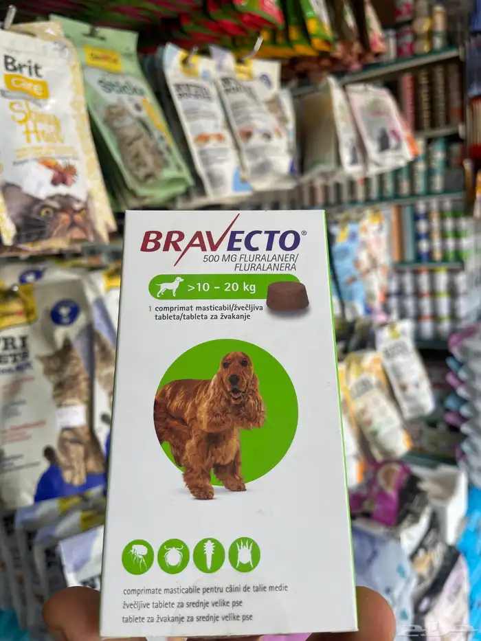 برافيكتو كلاب 1