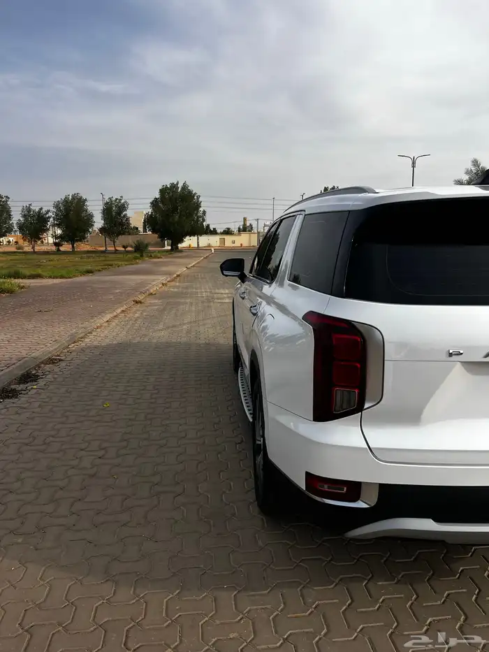 بالسيد وارد كوريا 2020 5