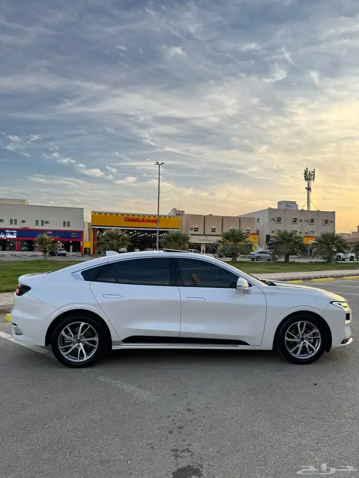 تورس 2024 ترند نص فل سعودي 12