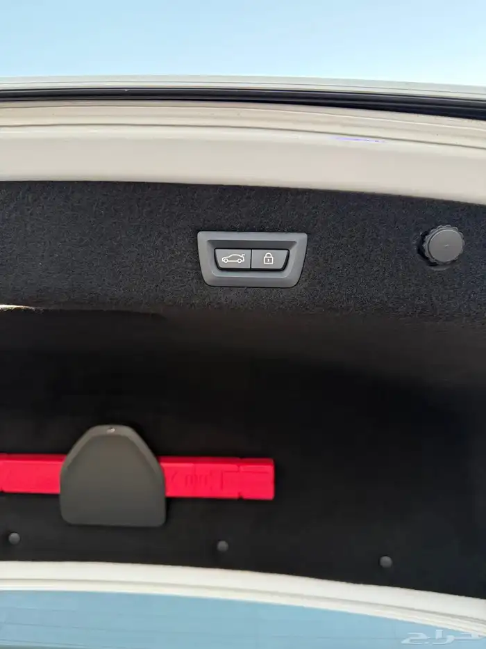 بي ام دبليو 2020 - 730Li 24