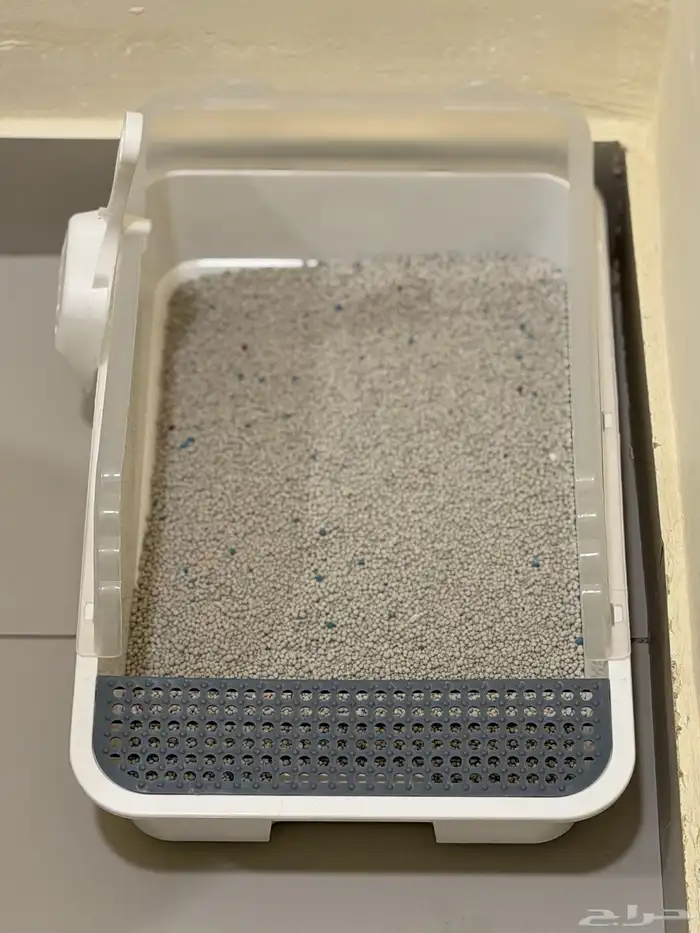 للبيع قطوه مع كامل أغراضها 3