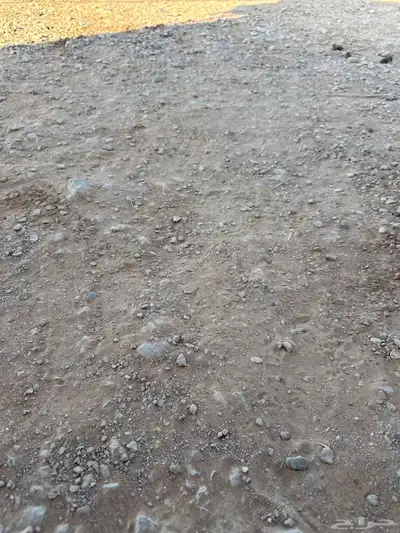 للإيجار ارض زراعيه عليه تقديم منصة احكام 0