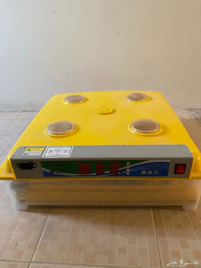 فقاسه اللبيع 98 بيضه 1