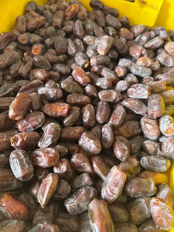 تمر خضري للبيع 0