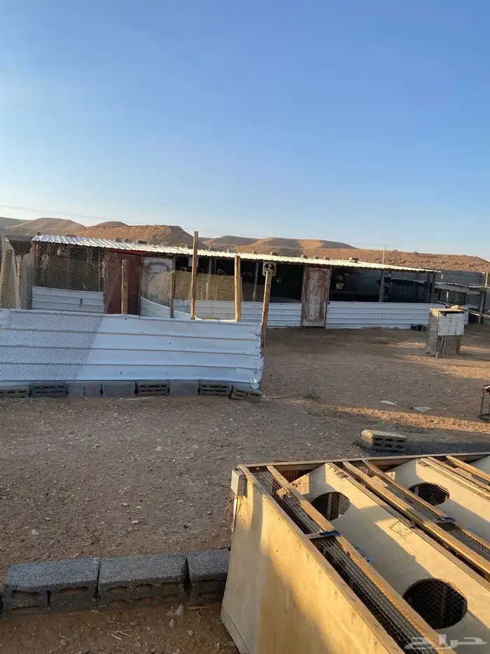 للبيع شينكو نظيف مع شبوك نظيفه معها صندقه جاهزه فك وتركيب 1