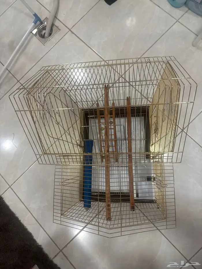 قفص كبير 3