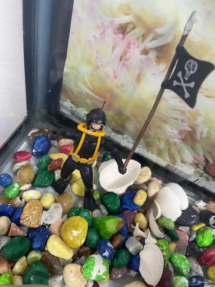 حوض سمك مع الدولاب 8