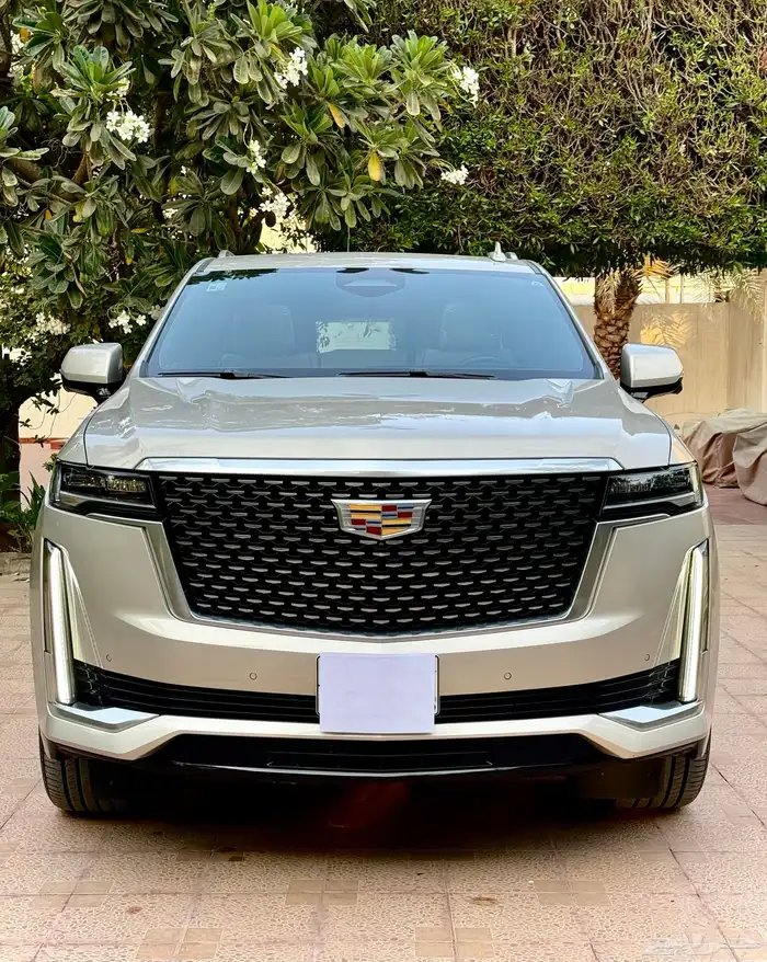 اسكاليد 2021 وارد الجميح 0