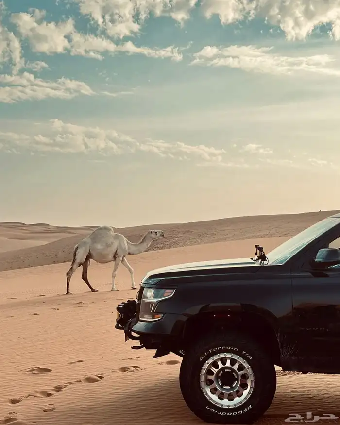 تاهو Z71 - 2018 معدل 29