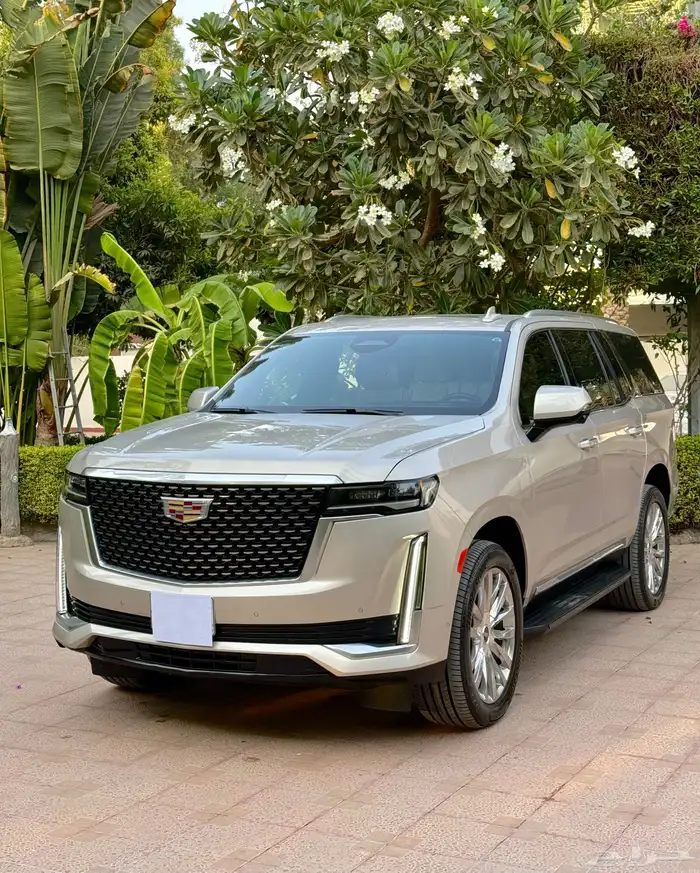 اسكاليد 2021 وارد الجميح 1