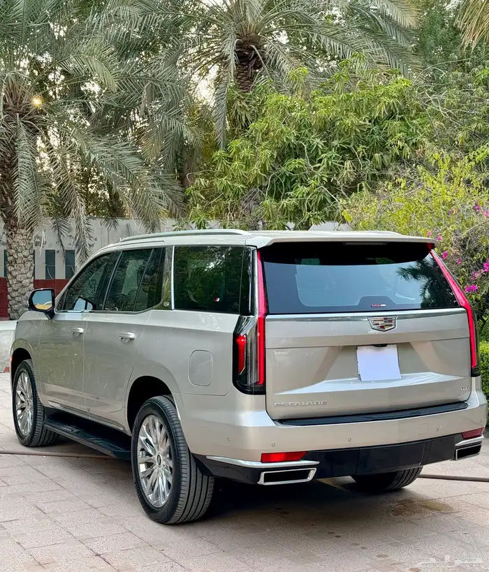 اسكاليد 2021 وارد الجميح 6