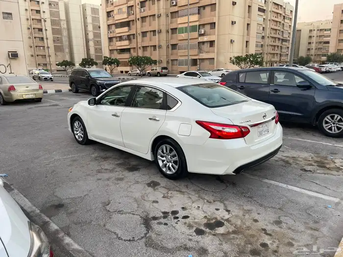 التيما 2017 نص الفل 4