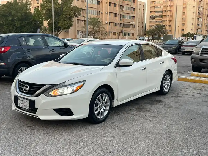 التيما 2017 نص الفل 2