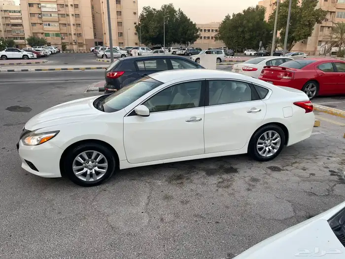 التيما 2017 نص الفل 11