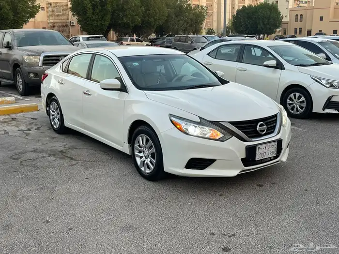 التيما 2017 نص الفل 0