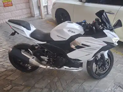 دباب كوازاكي ابيض 2023 index