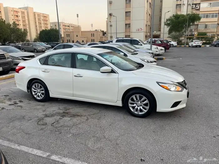 التيما 2017 نص الفل 1