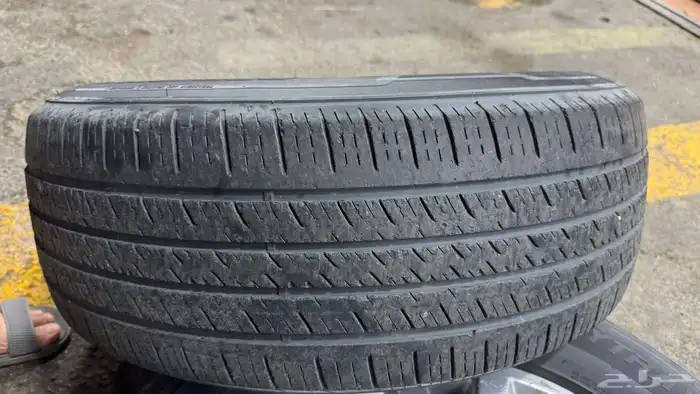 جنوط فتك سوبر سفاري 2019 9