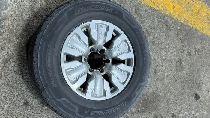 جنوط فتك سوبر سفاري 2019 6