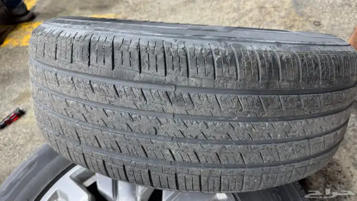 جنوط فتك سوبر سفاري 2019 7