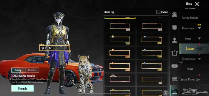 حساب ببجي 21