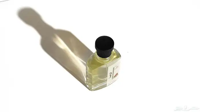 مصور فوتوغرافي 6