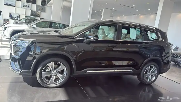 جيلي اوكافانجو 2025 1