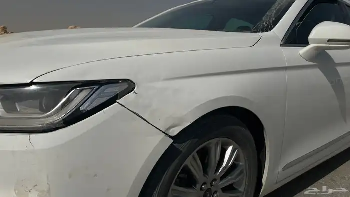 رفرف تورس 2021 12