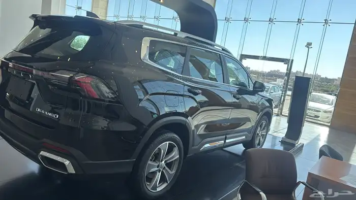 جيلي اوكافانجو 2025 3