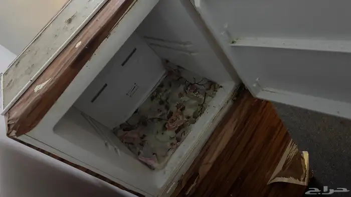 اثاث بيت كامل 7