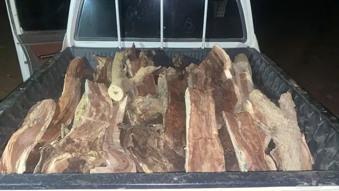 ددسن حوط البيع 0