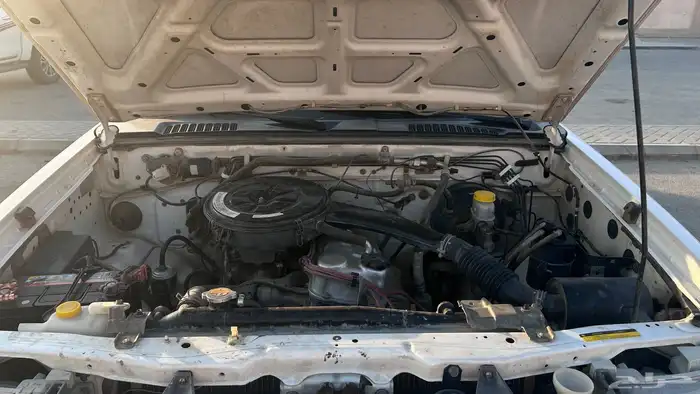 ددسن غمارة نظيفه 19