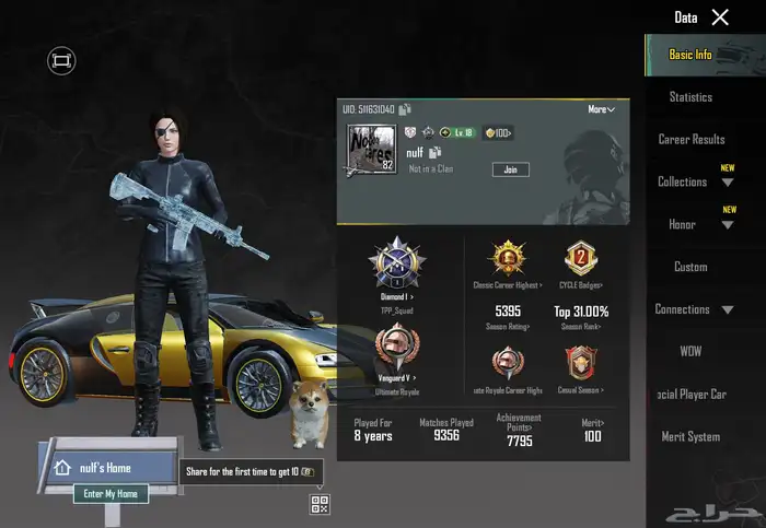 حساب ببجي ايطار الطياره 0