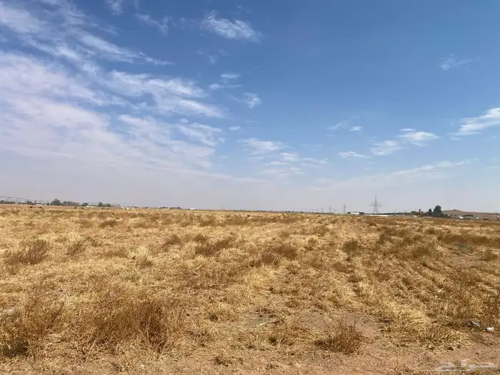 حصيدة اعشاب و بصل للحلال رشاش 6 ابراج 1