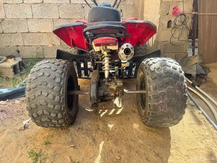 دباب شبيه الرابتر صيني للبيع 1