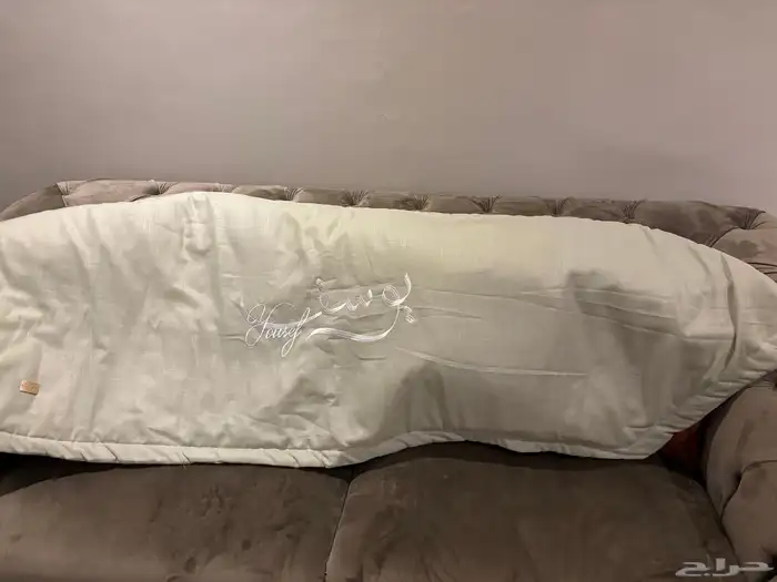 استقبال باسم يوسف 0