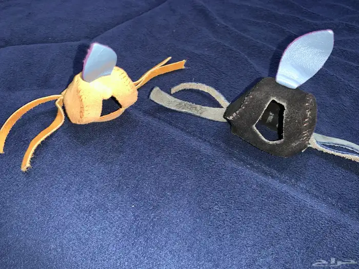 باشق او شبوط انثى حجم كبير ومدرب ويهد مع اغراضه 3