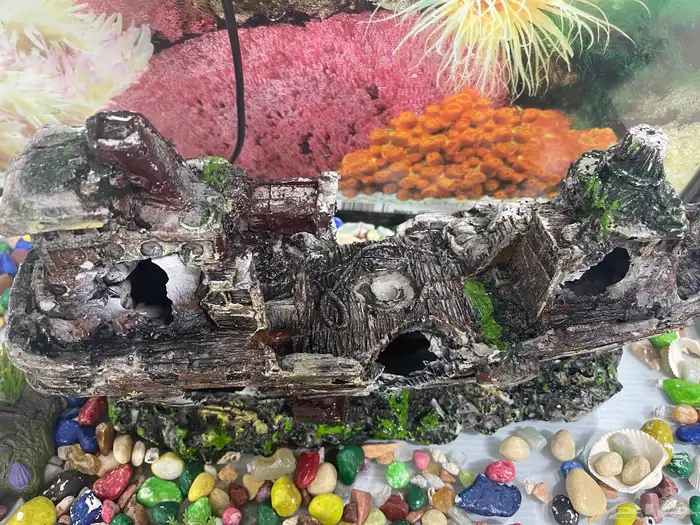 حوض سمك مع الدولاب 10