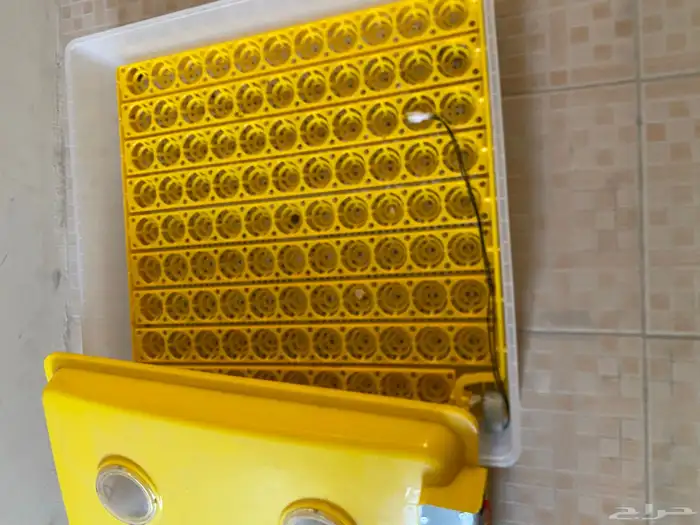 فقاسه اللبيع 98 بيضه 0